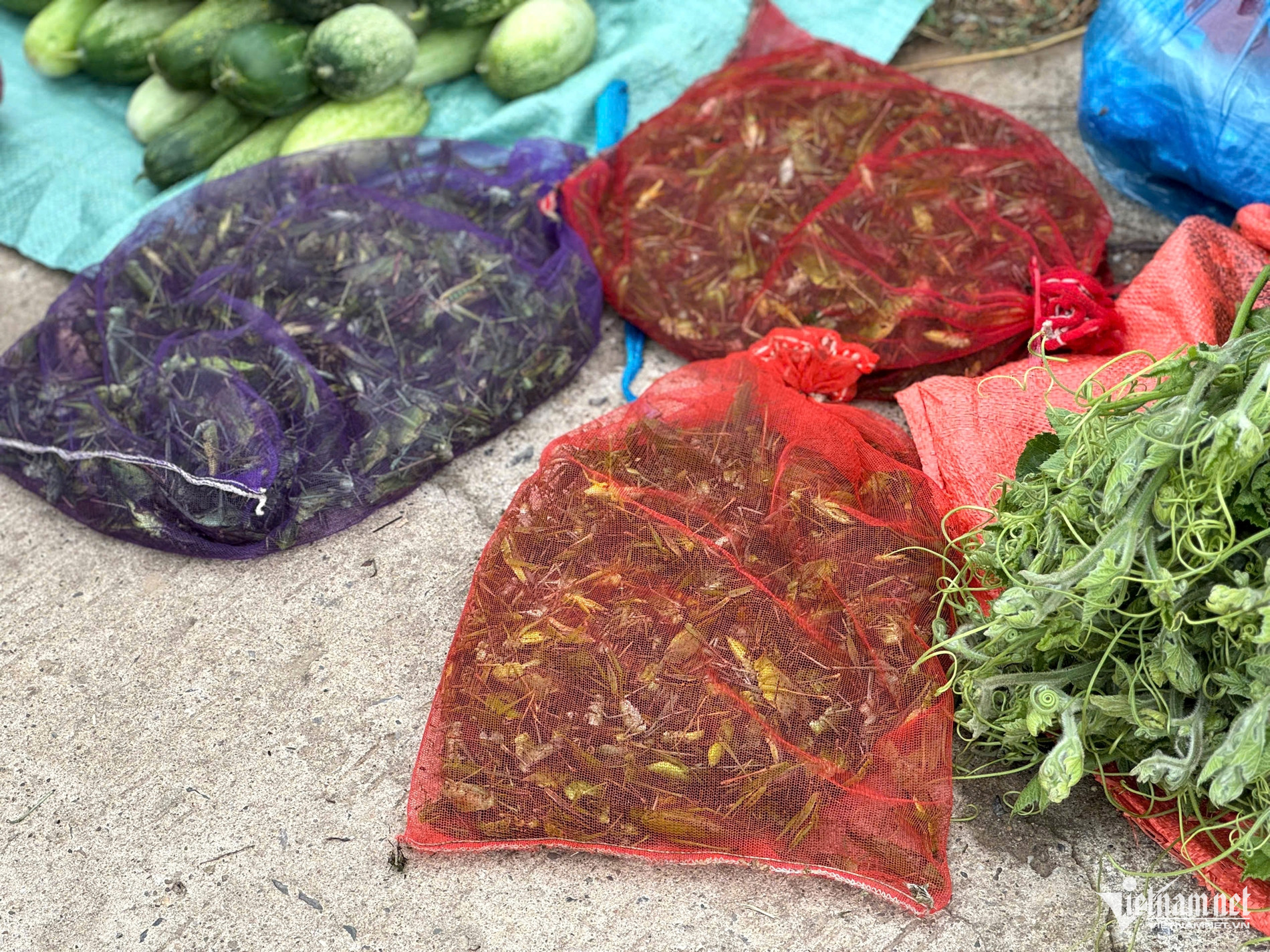 vietnam market8.jpg