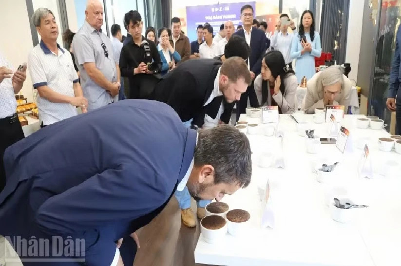 Vietnam's specialty coffee sets sights on Chinese market