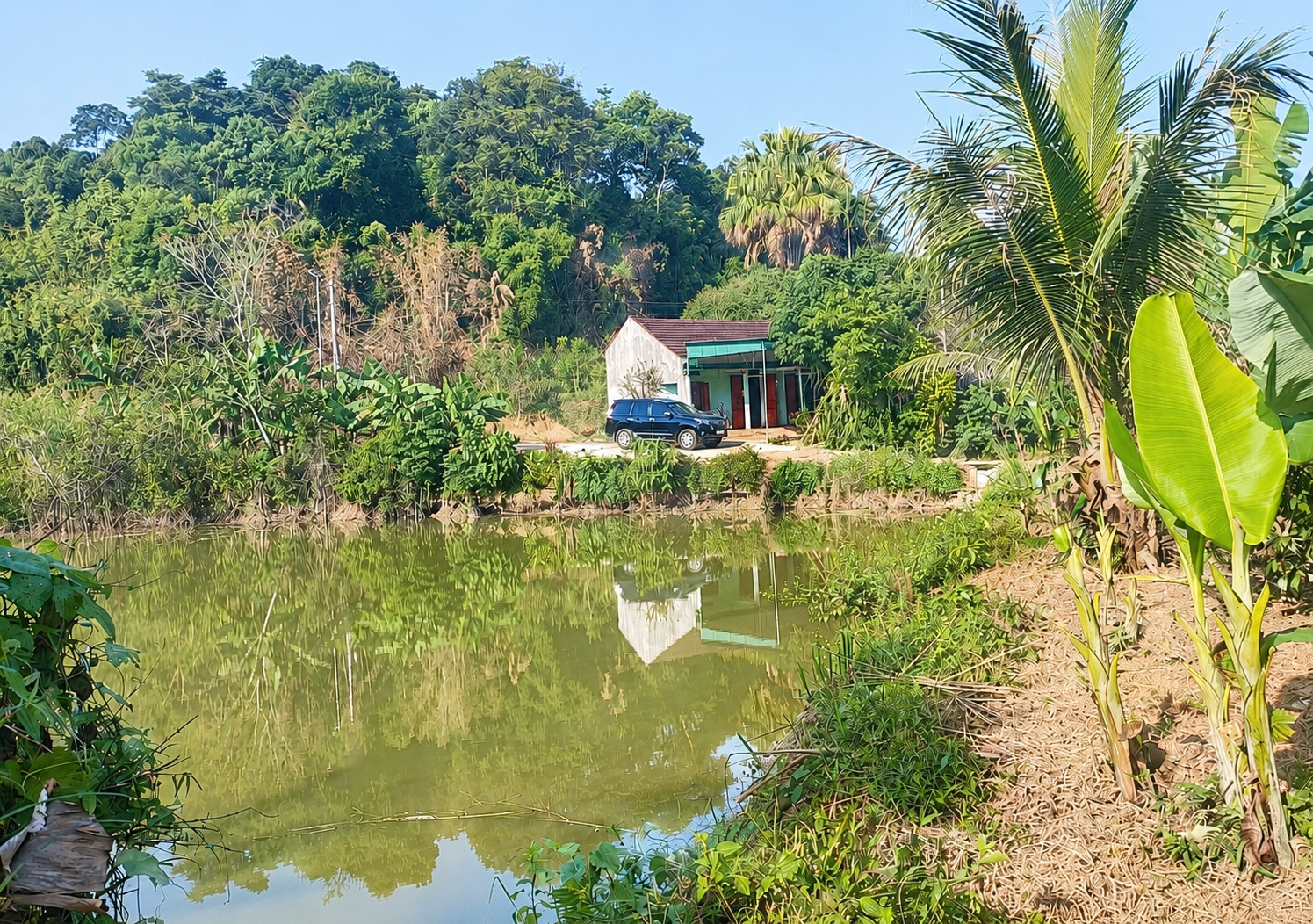 a4Người cha nghèo.jpg