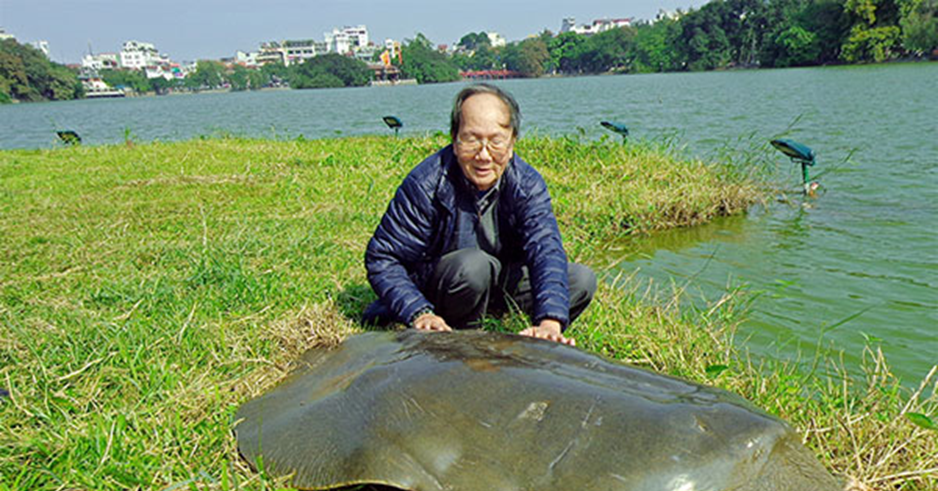 Renowned Vietnamese turtle expert Ha Dinh Duc passes away at 87