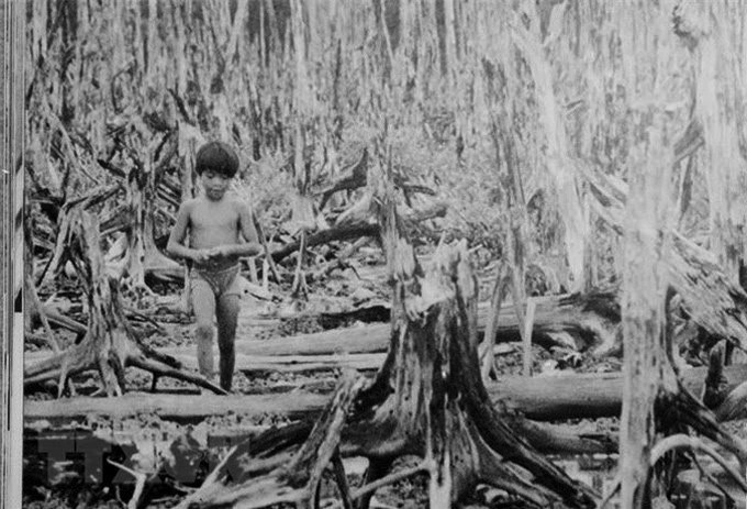 65 years since Agent Orange disaster: Vietnam steps up long-term victim support