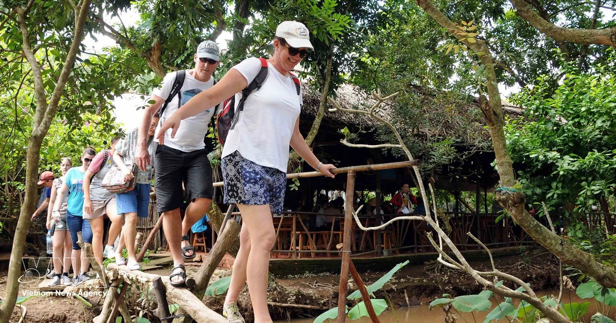 International tour operator growth signals increased travel demand