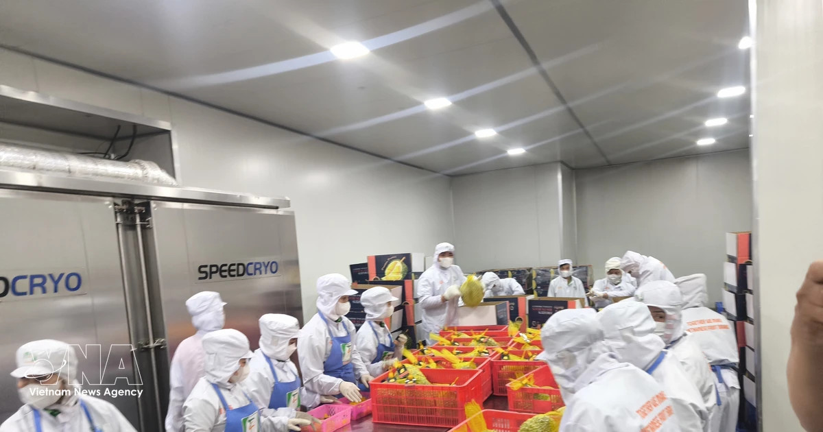 Vietnam works to maintain edge in key agricultural market