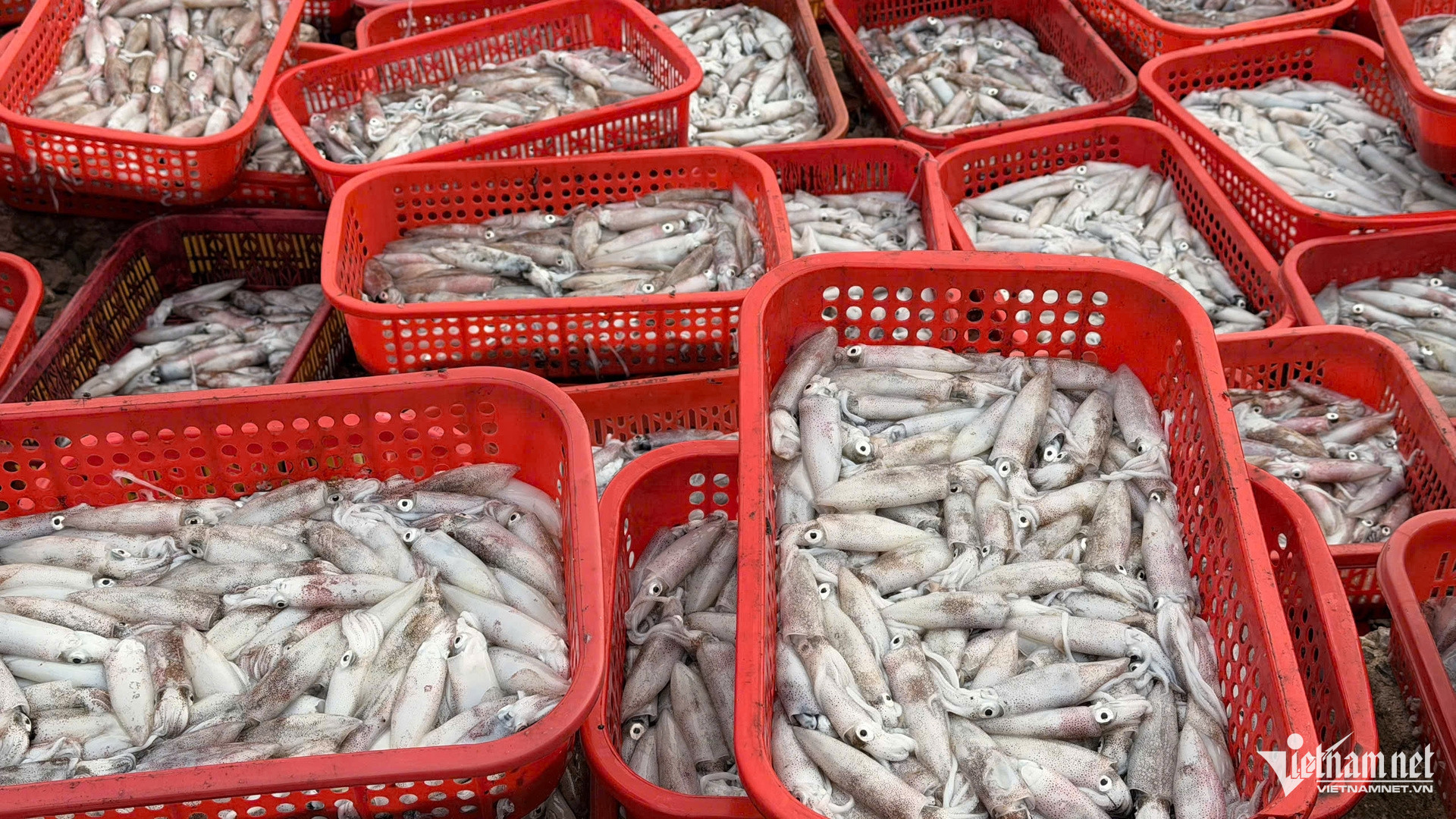 fishing village6.jpg