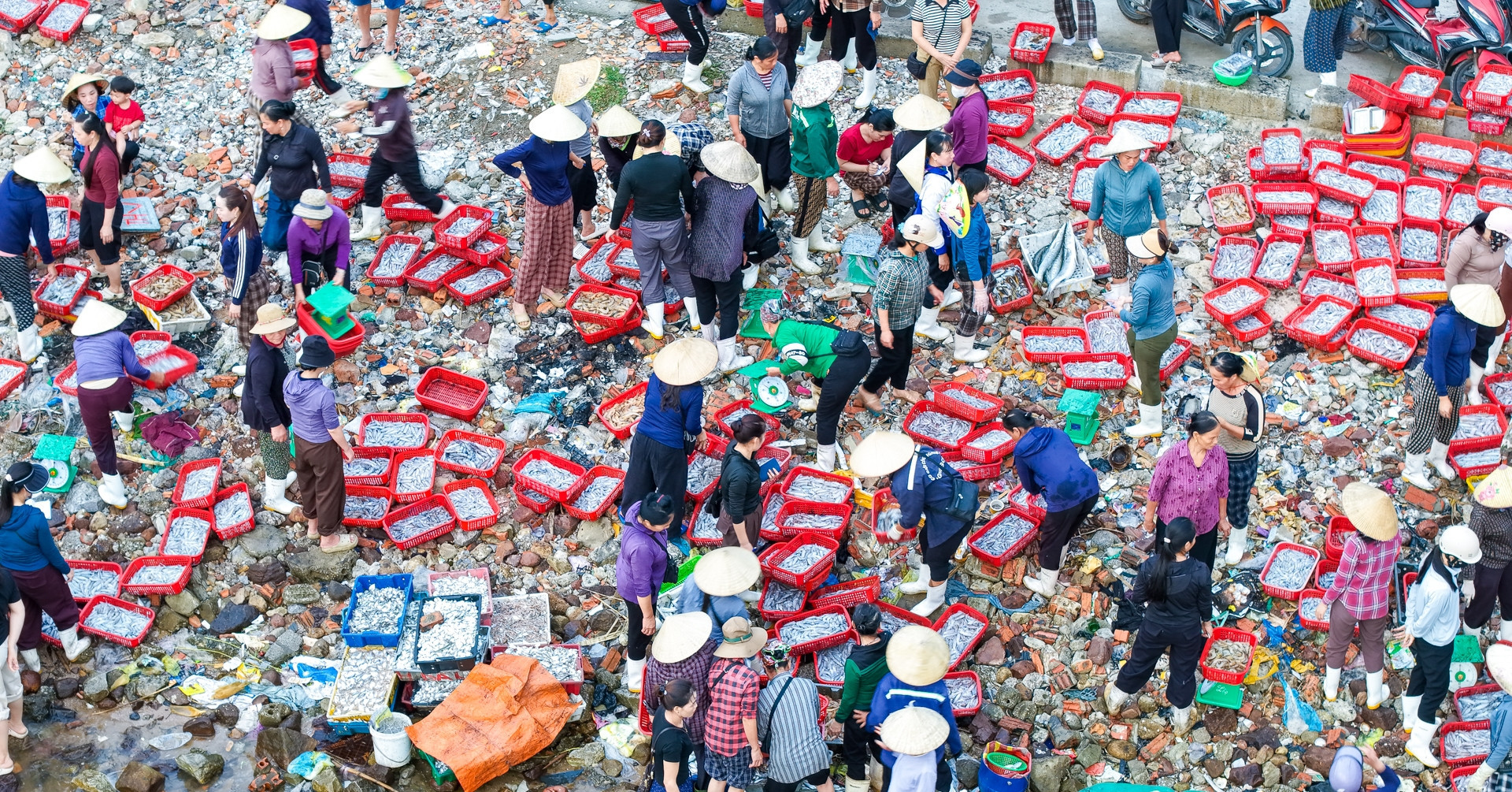Inside a bustling dawn fish market 3.5 hours from Hanoi