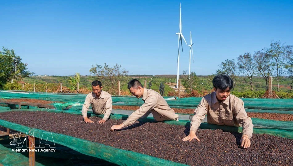 Vietnam, New Zealand seek new impetus for trade ties