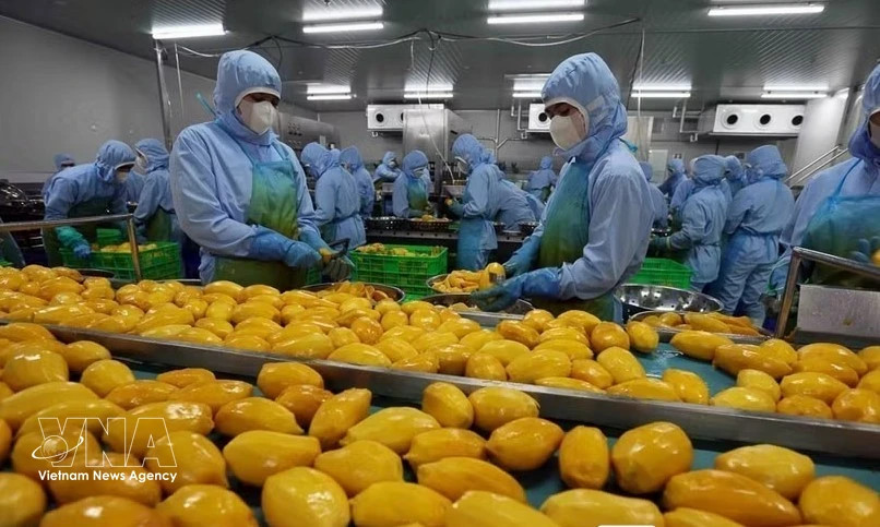 Vietnam's tropical fruits see untapped potential in Türkiye