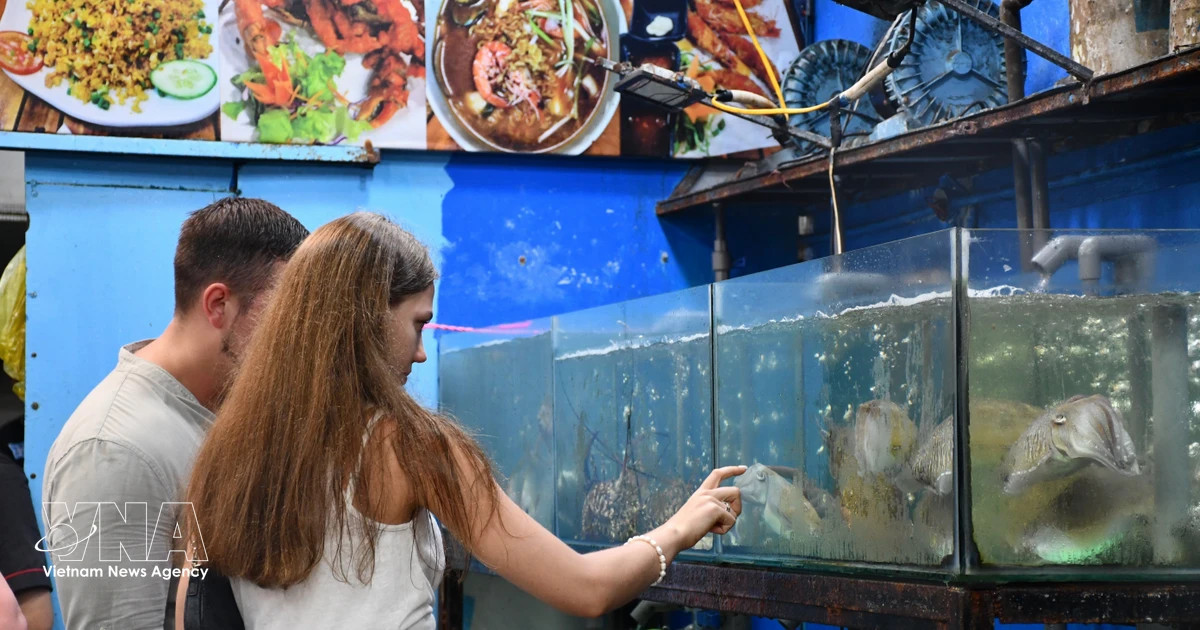 Russian tourist wave hits Vietnam at record pace