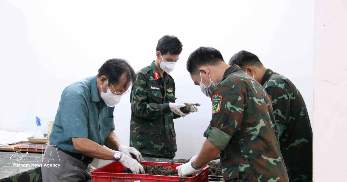 Eight mass graves uncovered at Le Thi Rieng Park in Ho Chi Minh City