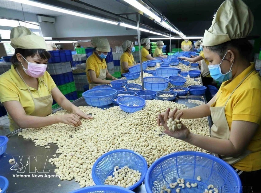 Vietnam’s exports to New Zealand post strong growth