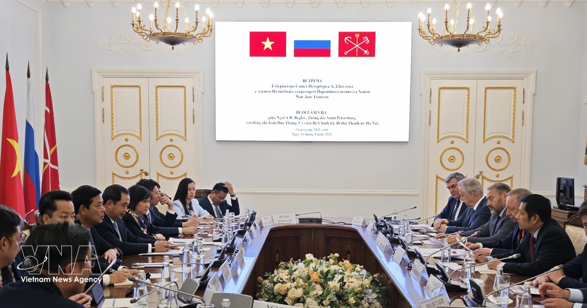 Hanoi seeks cooperation with Russian localities in developing urban railways