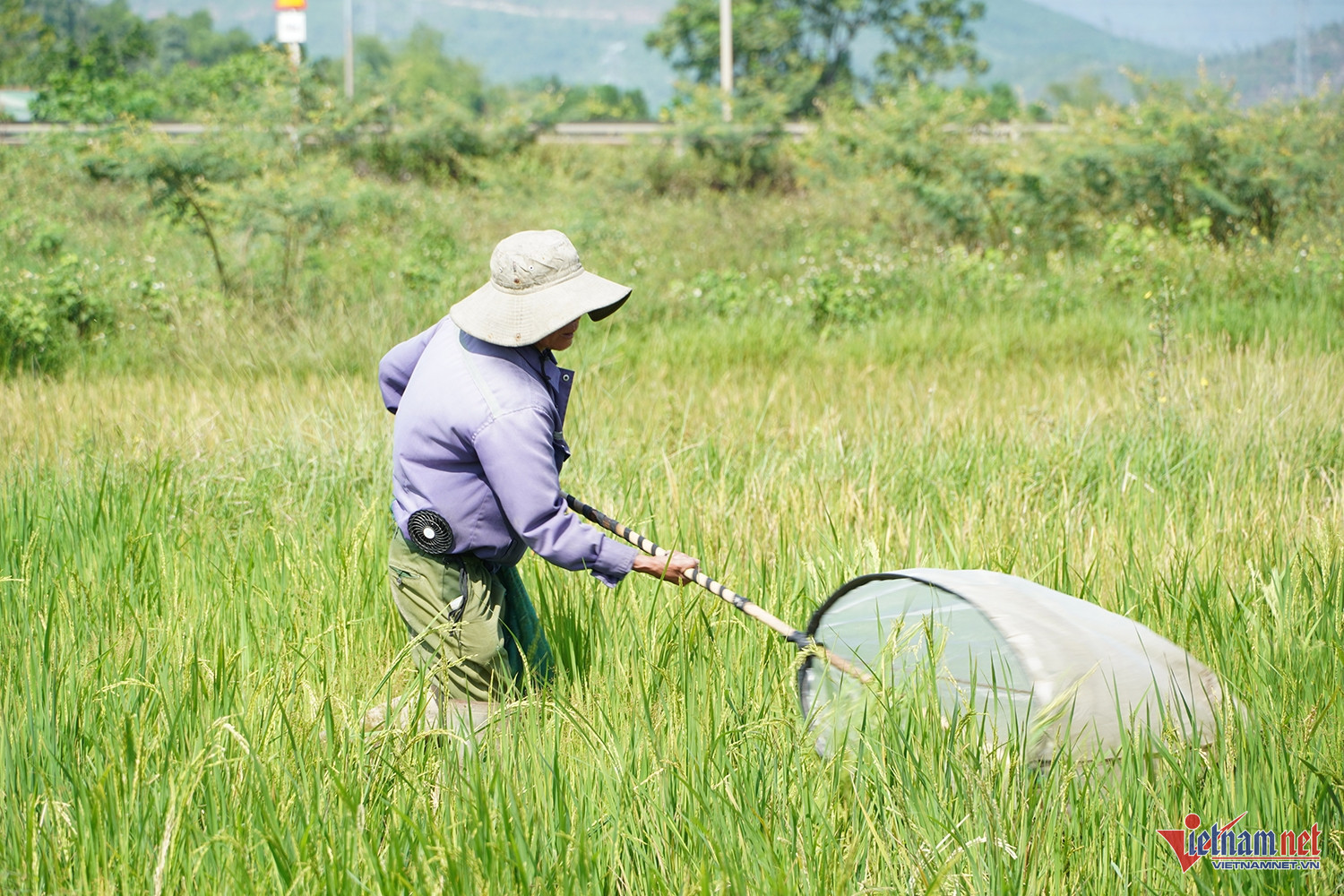 W-bắt cào cào 4.JPG.jpg