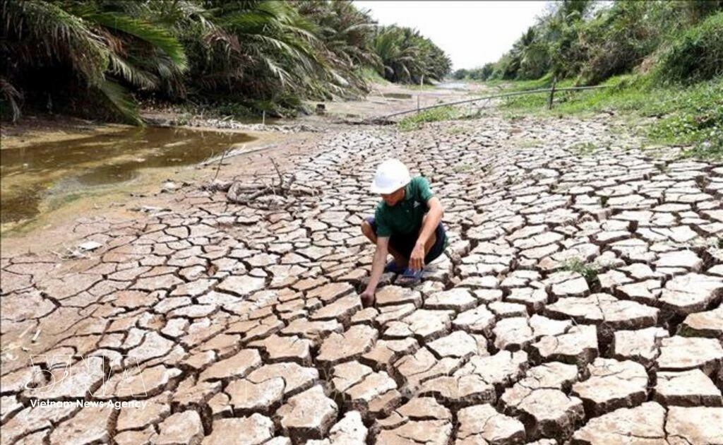 Vietnam approves carbon credit pact with Singapore under Paris Agreement
