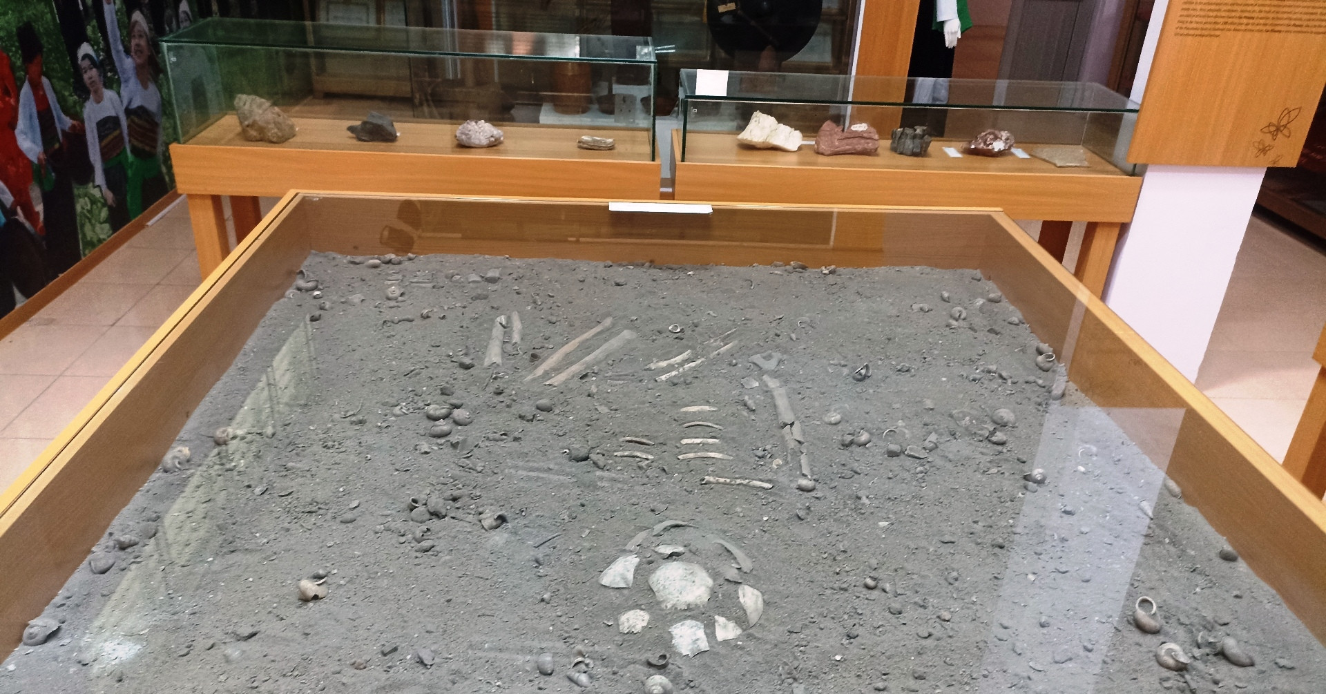 7,500-year-old human remains reveal prehistoric life in Vietnam