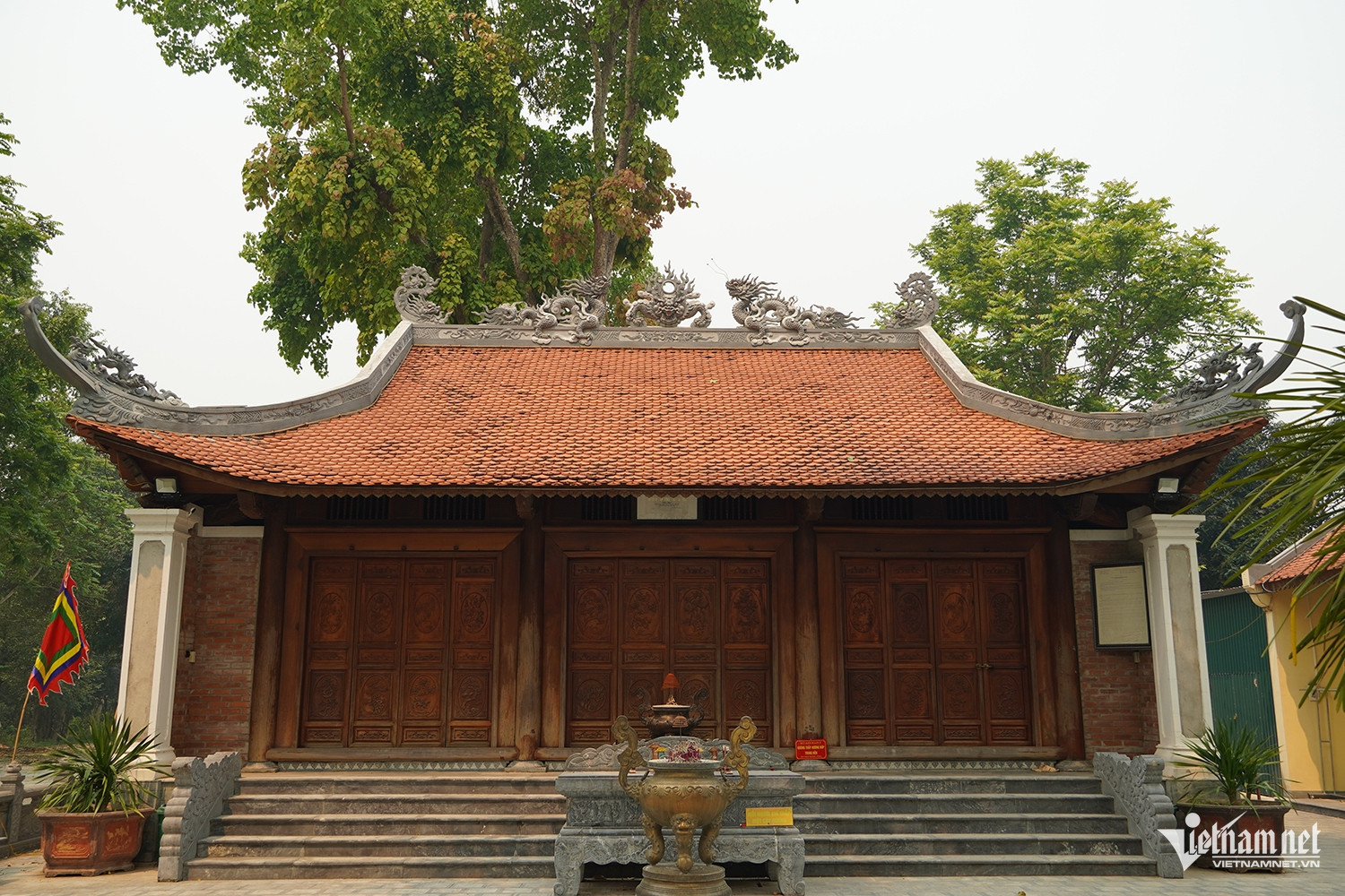 W-cây đa di sản.JPG.jpg