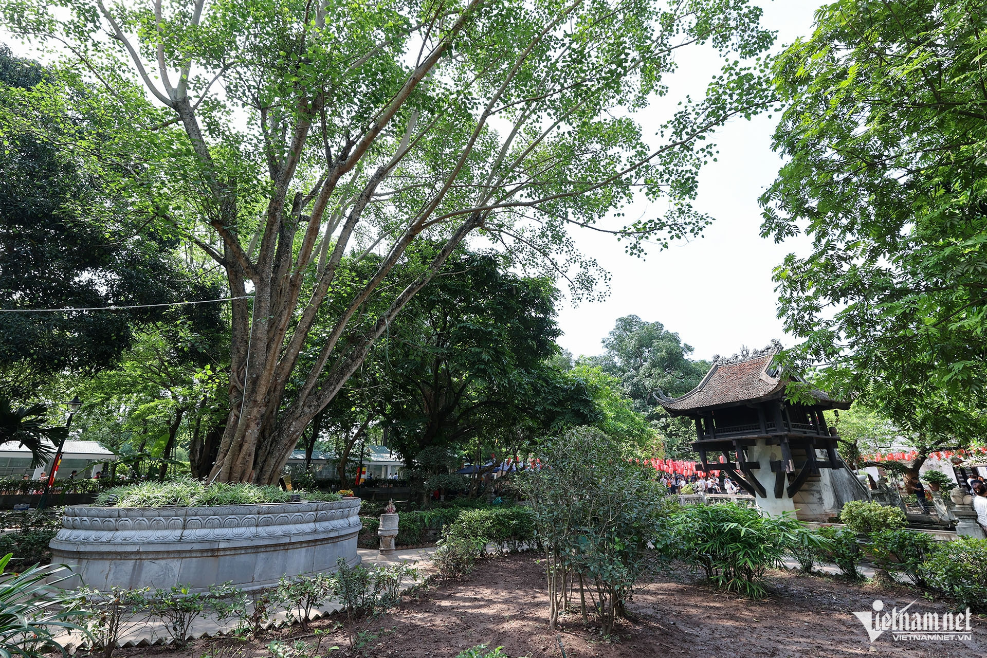 hanoi relic1.jpg