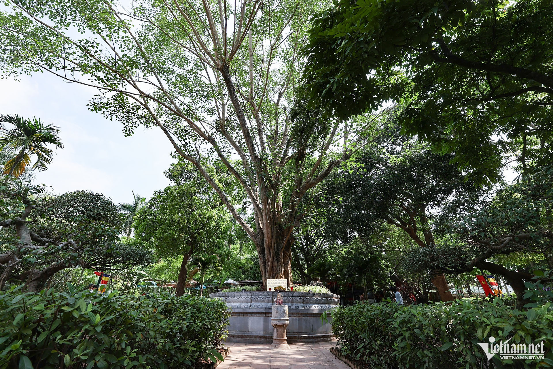 hanoi relic2.jpg