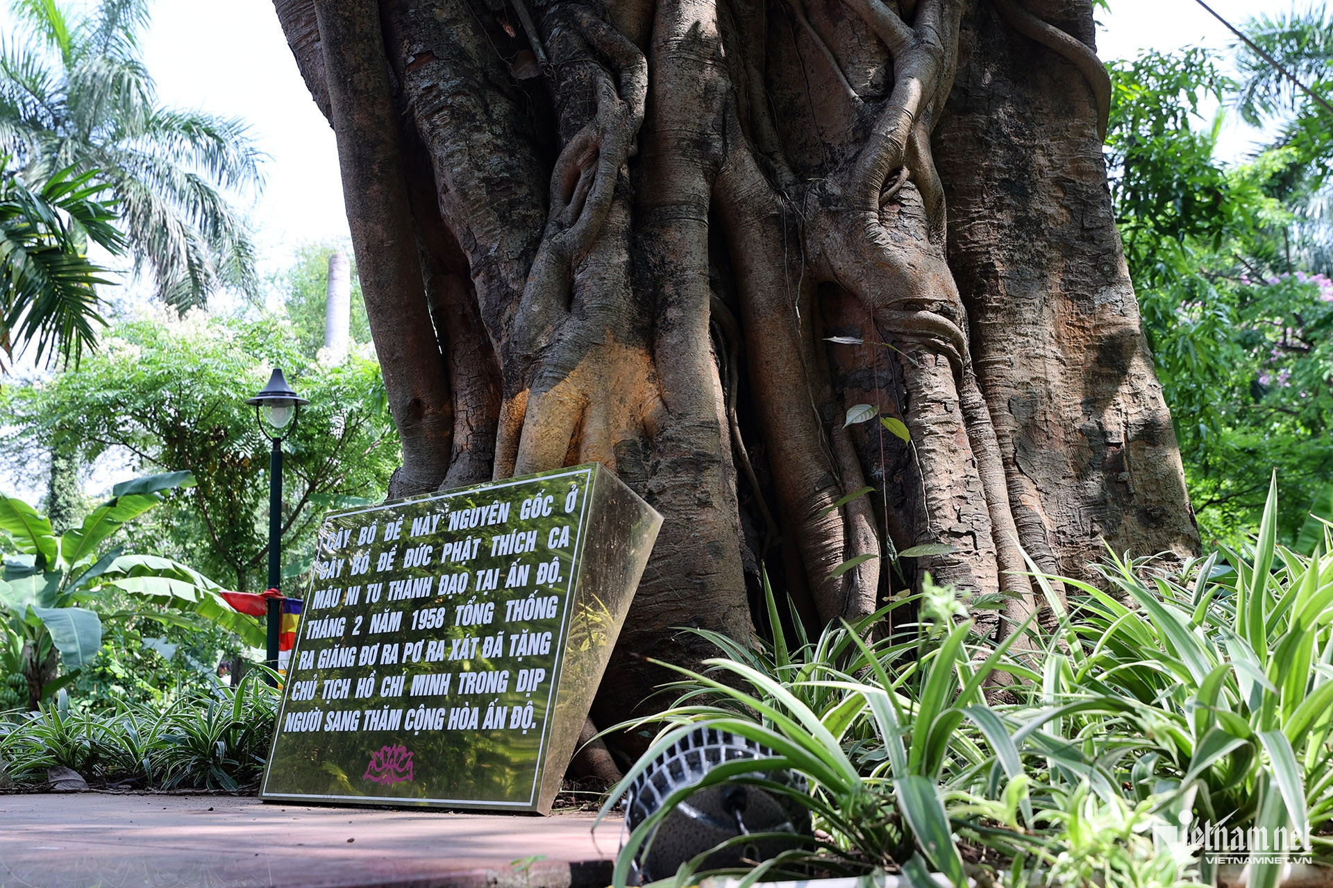 hanoi relic4.jpg