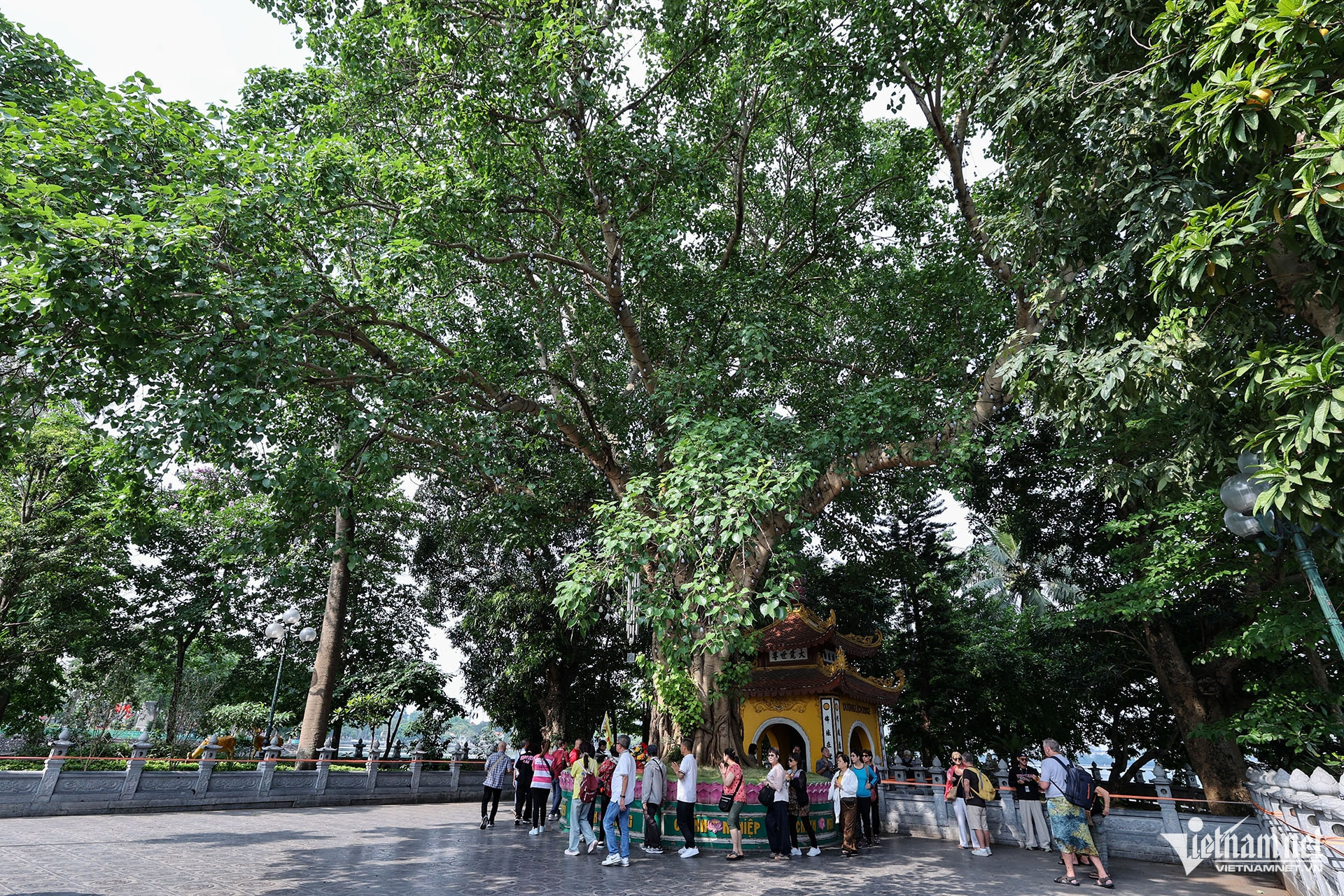 hanoi relic5.jpg