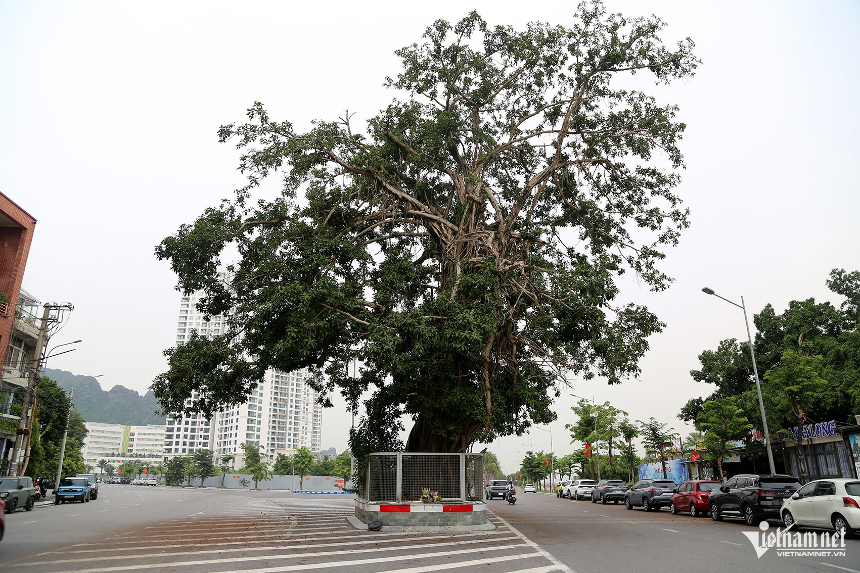 W-Ảnh 4.JPG.jpg