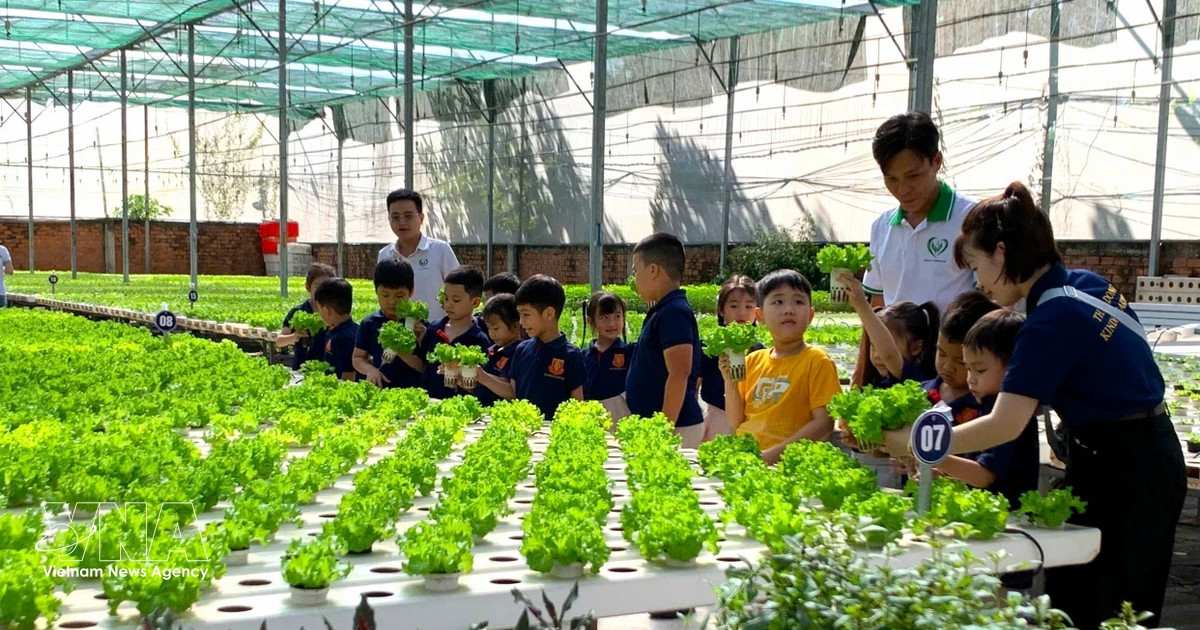 Agricultural sector targets full online public services by 2027