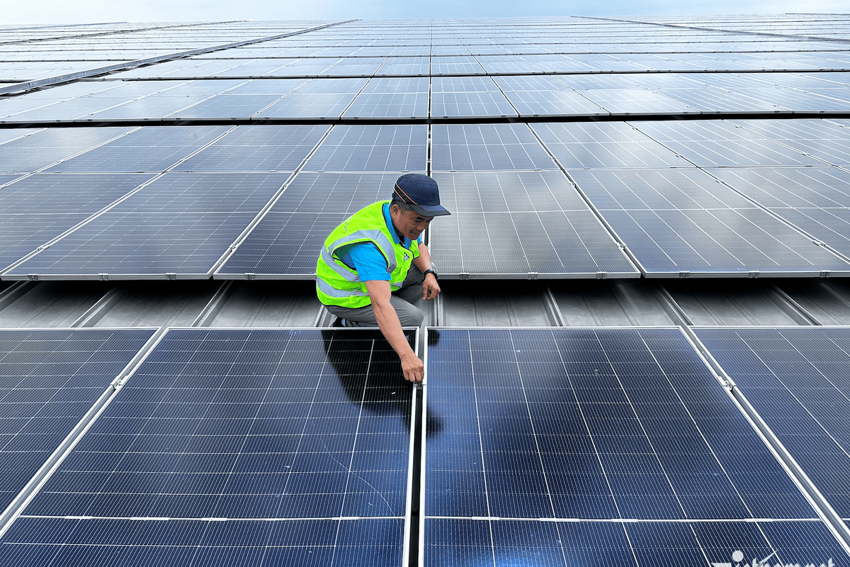 Firms rush to install rooftop solar as energy race heats up