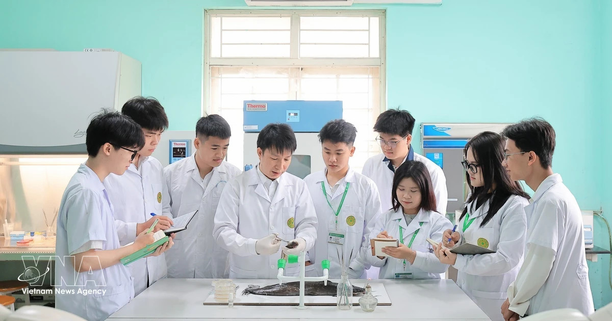 Vietnam leans on digital workforce to unlock productivity boom