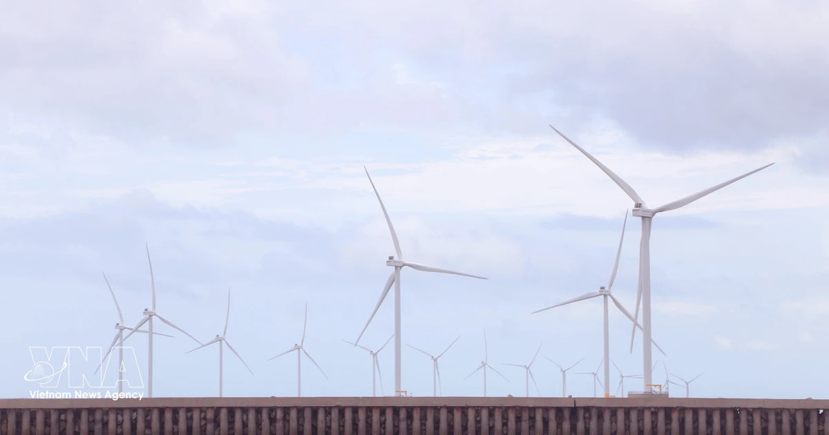 Ca Mau taps clean energy with three wind projects worth $242 million