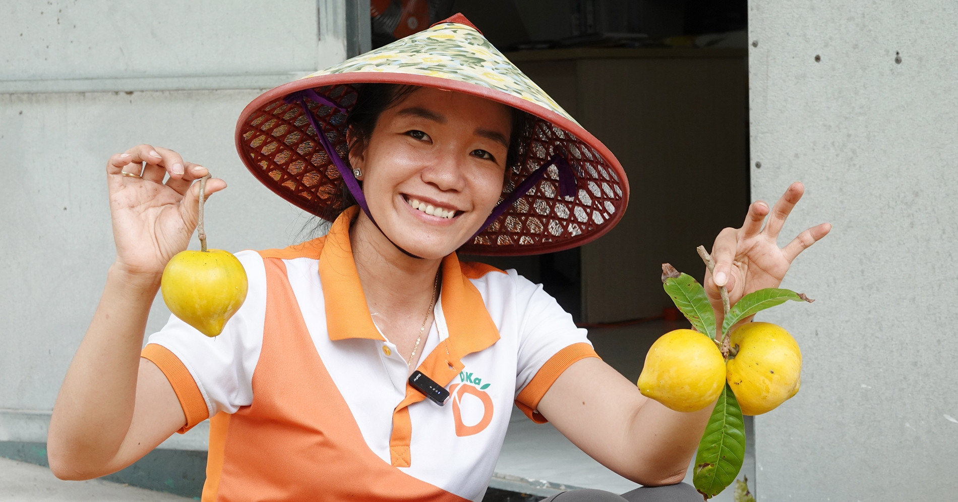 Can Tho entrepreneur turns fallen lekima fruit into a four-star product