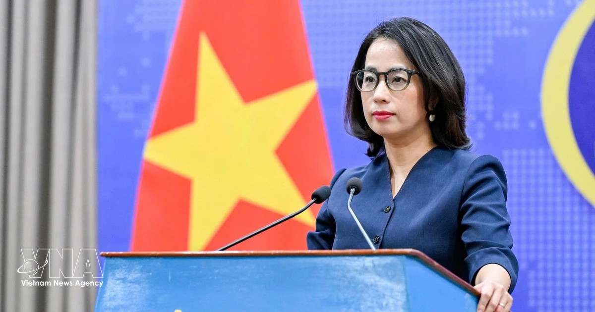 Vietnam strongly protests illegal reclamation, construction in Hoang Sa