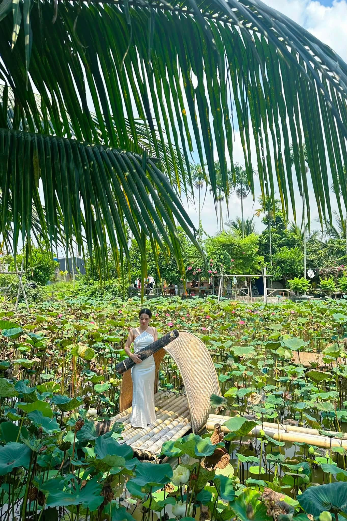 vn tourist site3.jpg