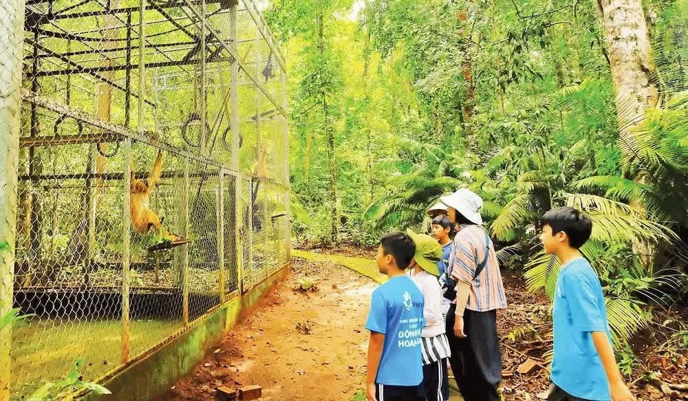 Journey to return rescued wildlife to the wild