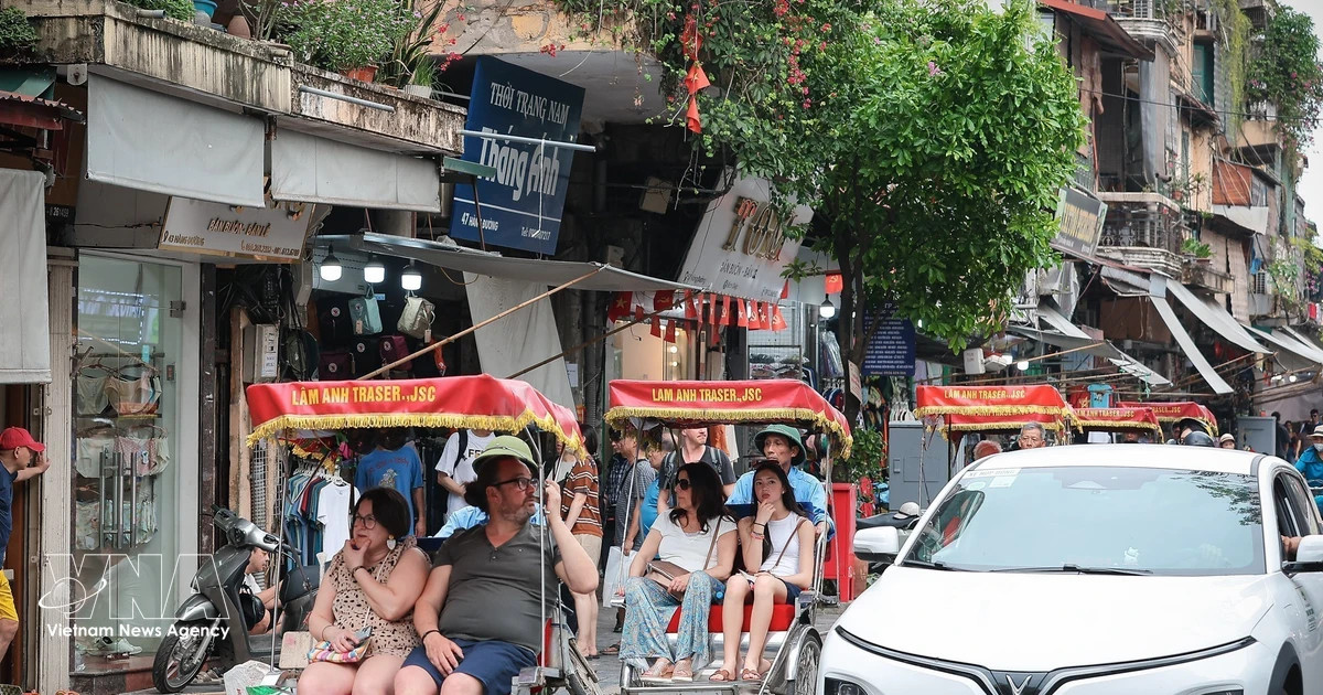 Sustainable travel gains momentum among Vietnamese tourists: Booking.com report