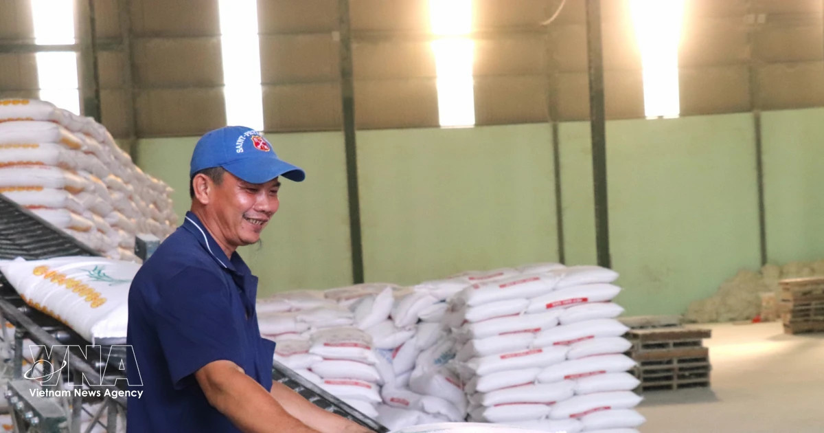 Vietnam’s rice exports reach 2.91 billion USD in eight months