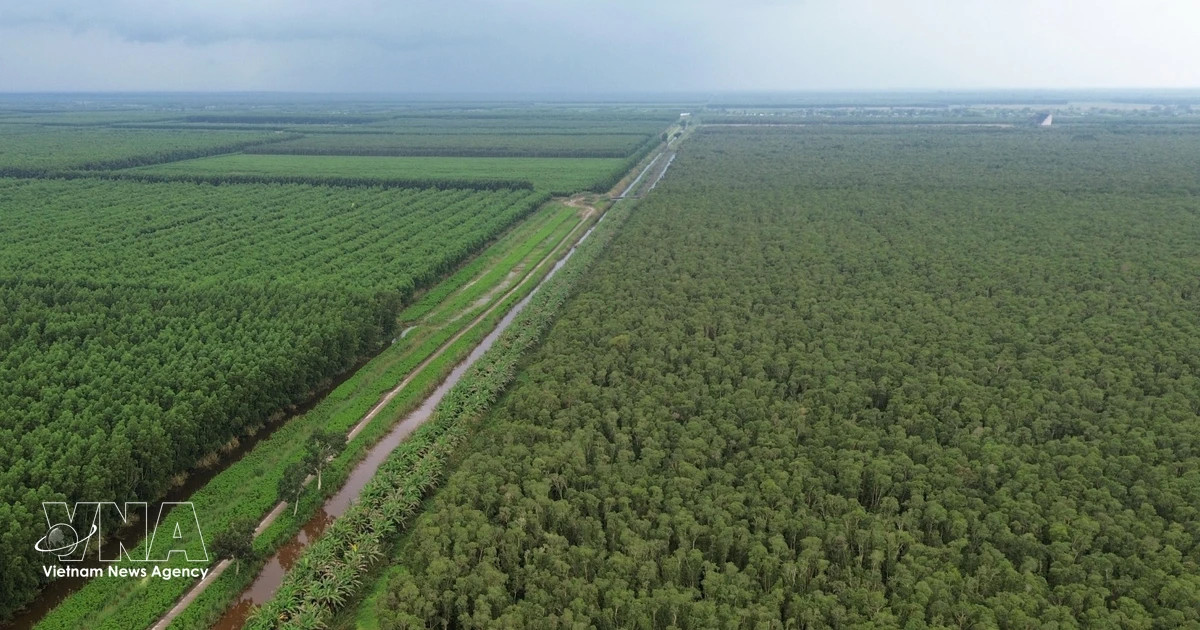 Ca Mau's U Minh Ha becomes next ecotourism frontier