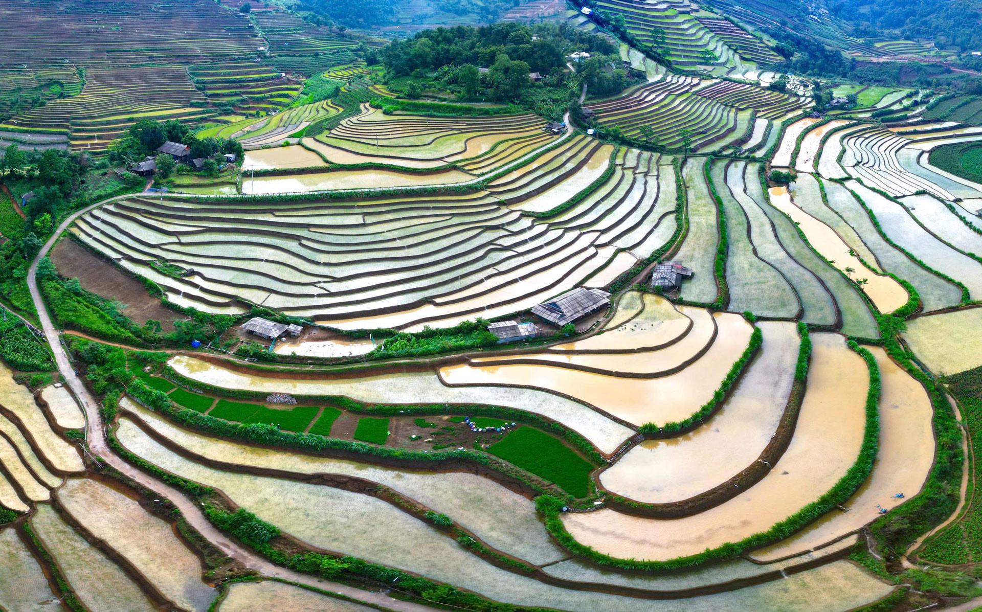pavi vietnam6.jpg
