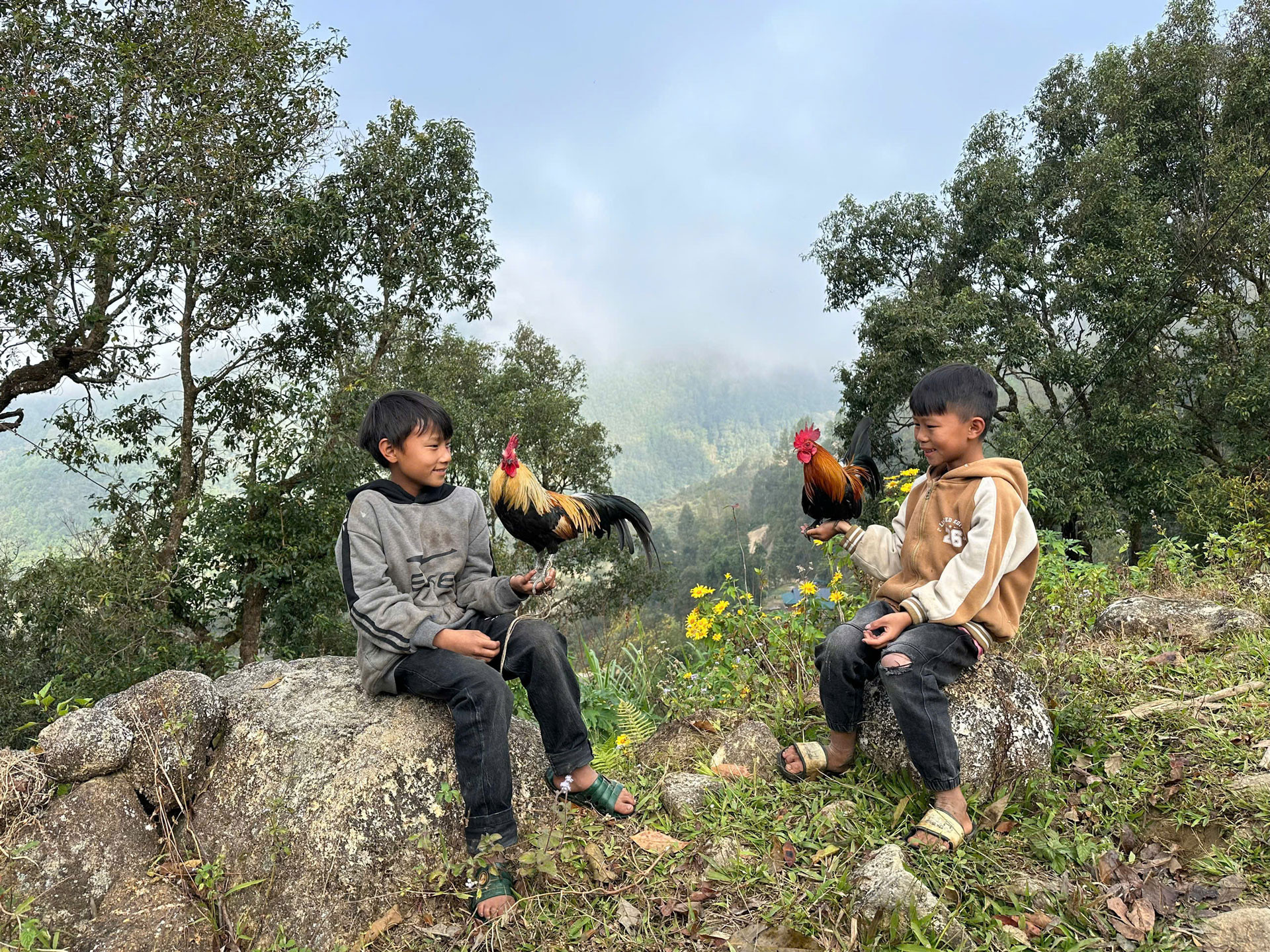 pavi vietnam8.jpg