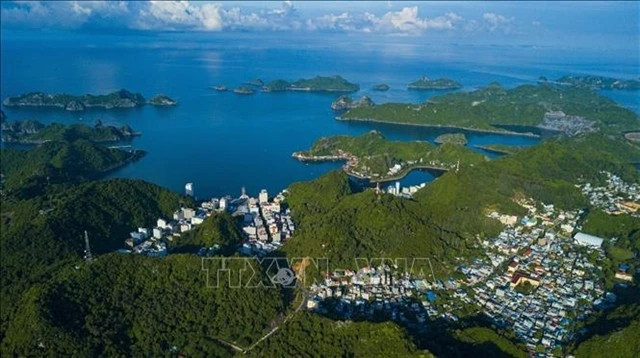 58 free Wi-Fi hotspots enhance visitor experience in Cat Hai Special Zone
