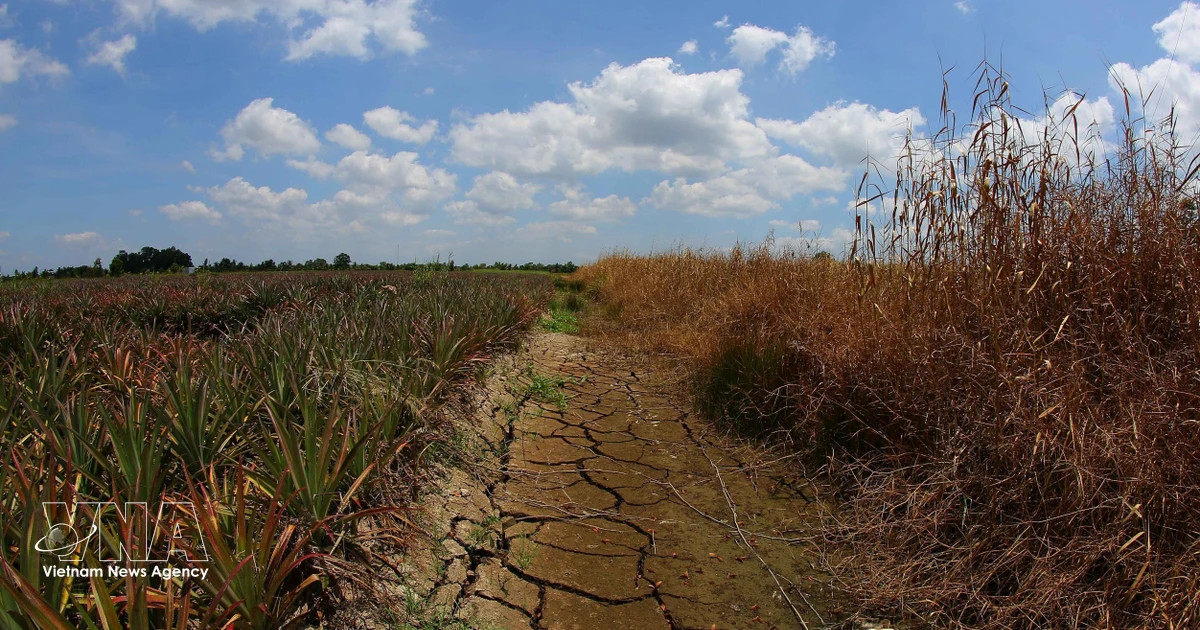 Gov't adopts action programme on environmental protection, climate resilience