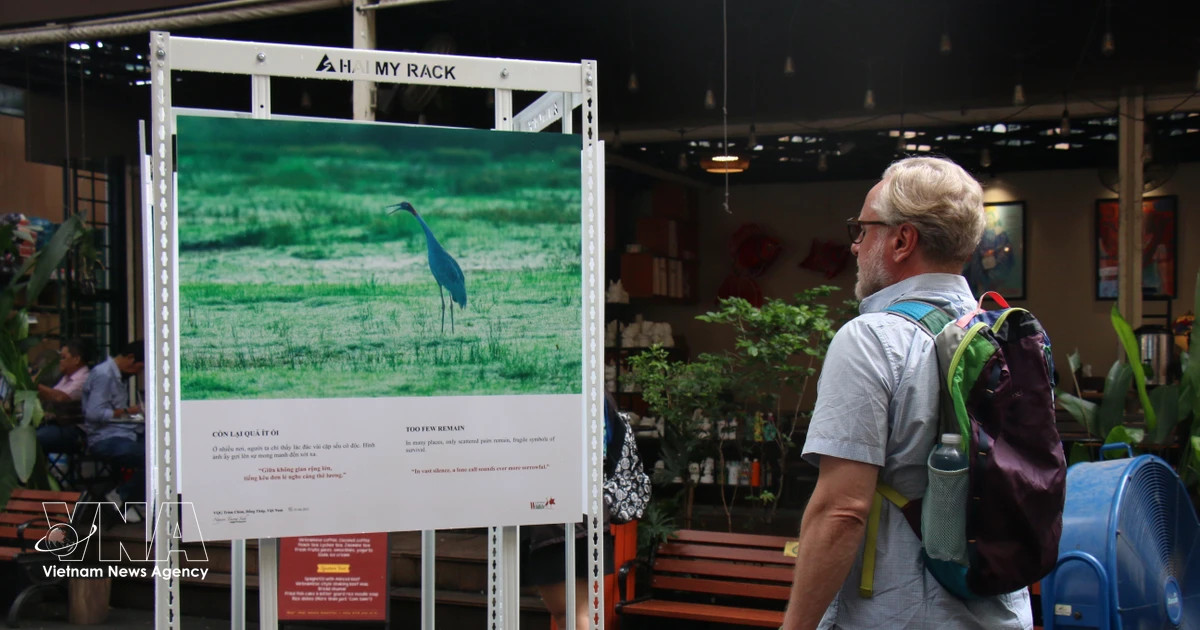 Ho Chi Minh City links flagship capabilities to raise tourism value