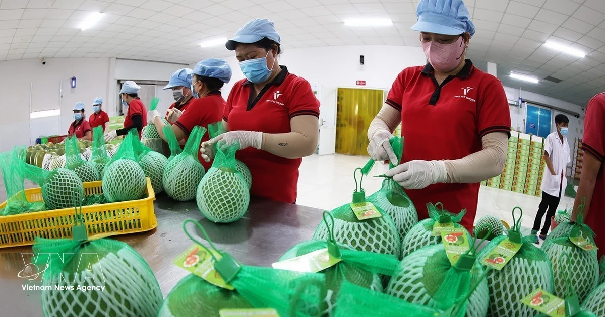 VN races to achieve 74-billion-USD target from agro-forestry-aquatic exports