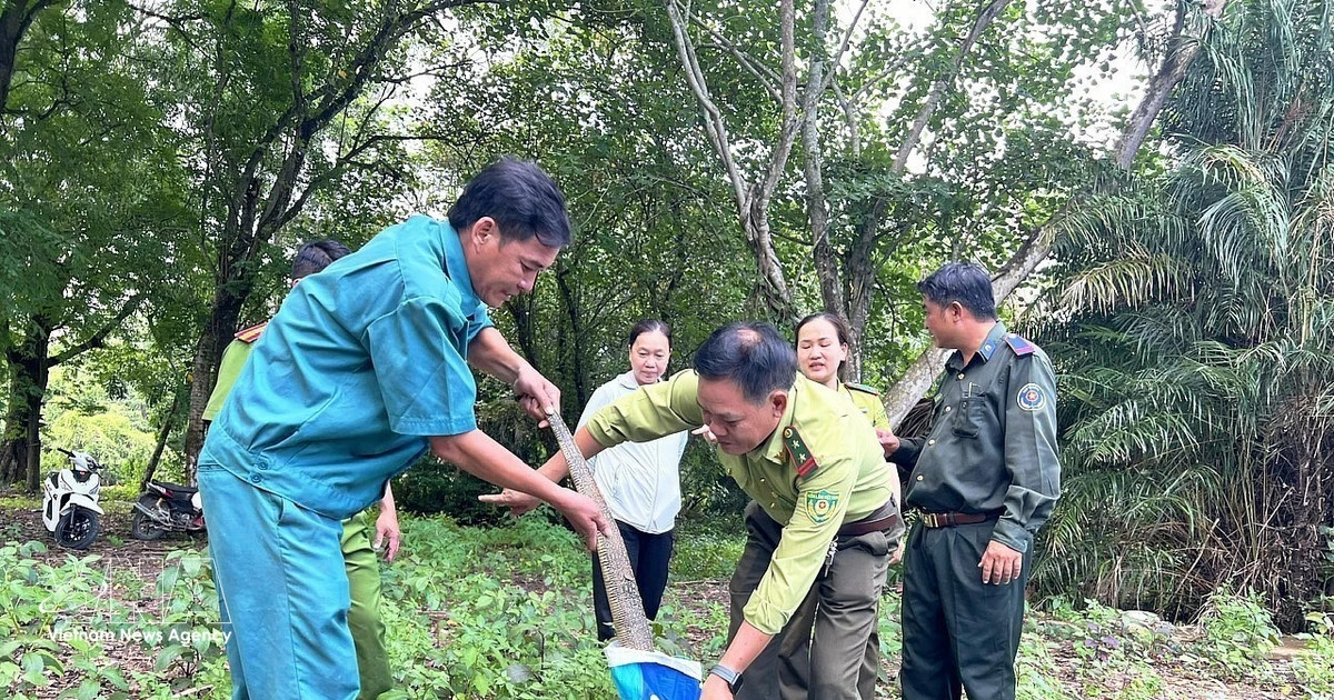 Protected wildlife released into natural habitats in Ca Mau, Quang Tri