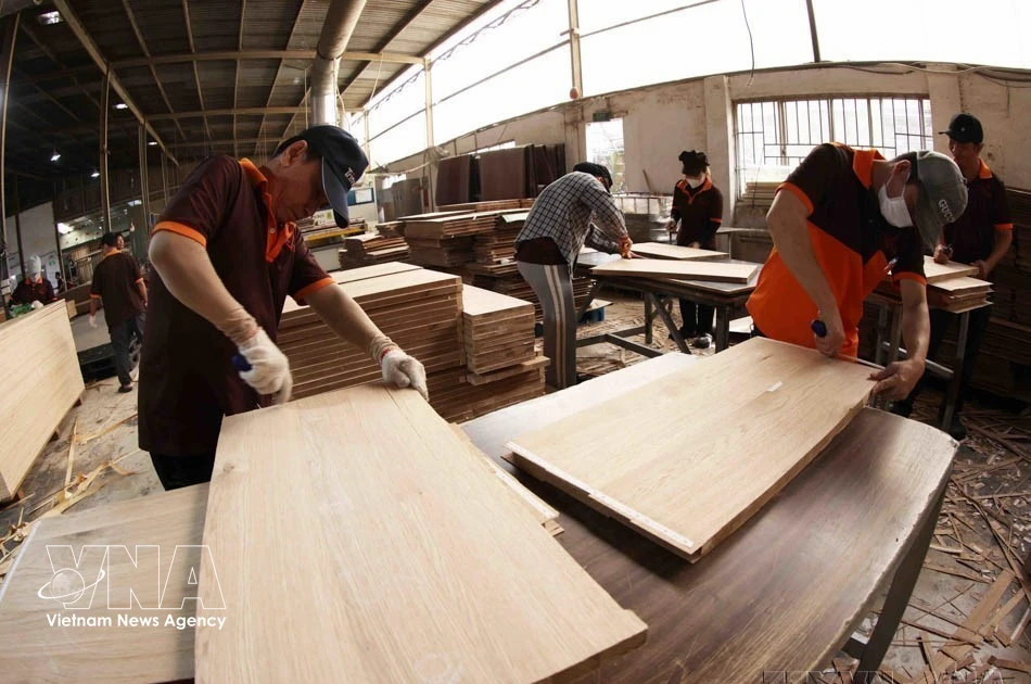 Vietnam looks to domestic market to sustain wood industry growth