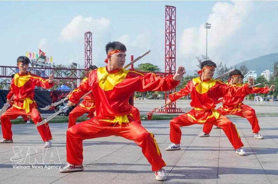 Binh Dinh launches all-out bid to put martial arts on UNESCO’s world stage