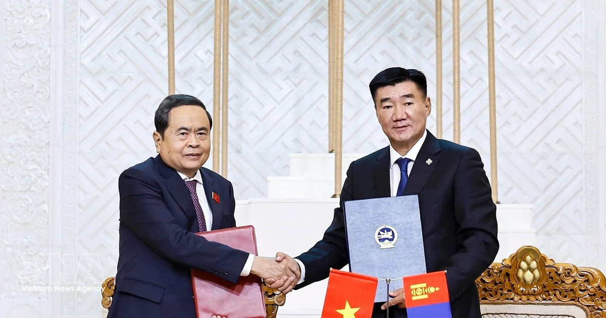Vietnamese, Mongolian legislatures sign MoU on cooperation
