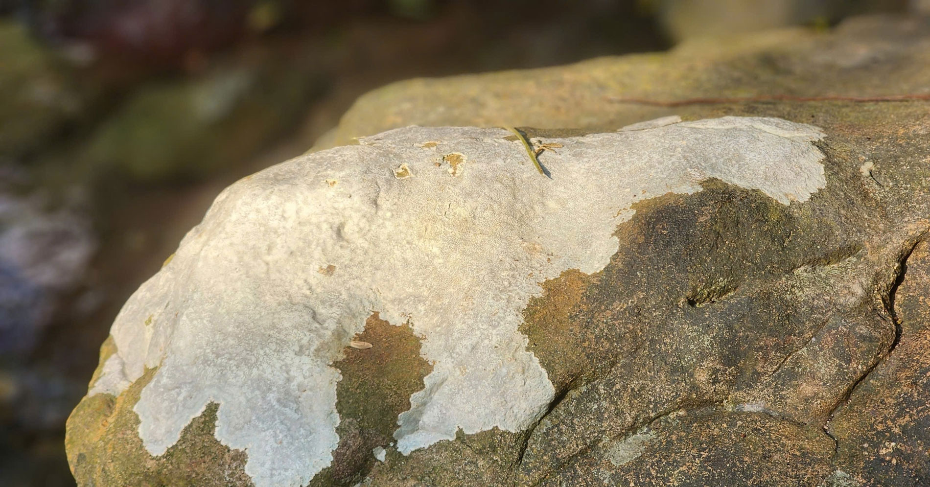 Two-colored rocks reveal a Buddhist story in Vietnam’s Yen Tu mountains