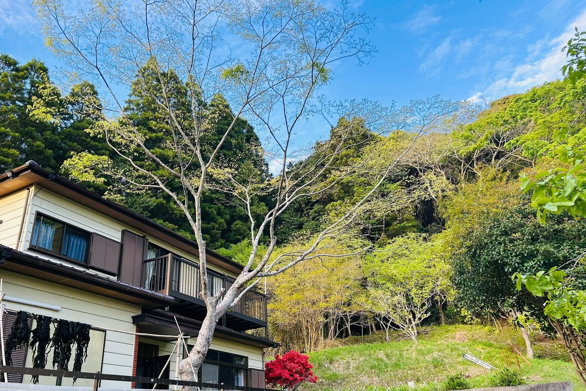 Vietnamese couple in Japan quits city life for suburbs, lives close to nature