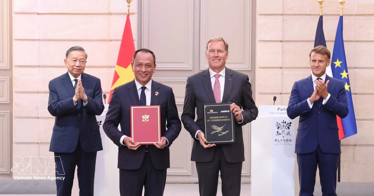 Vietnamese, French leaders witness exchange of cooperation documents