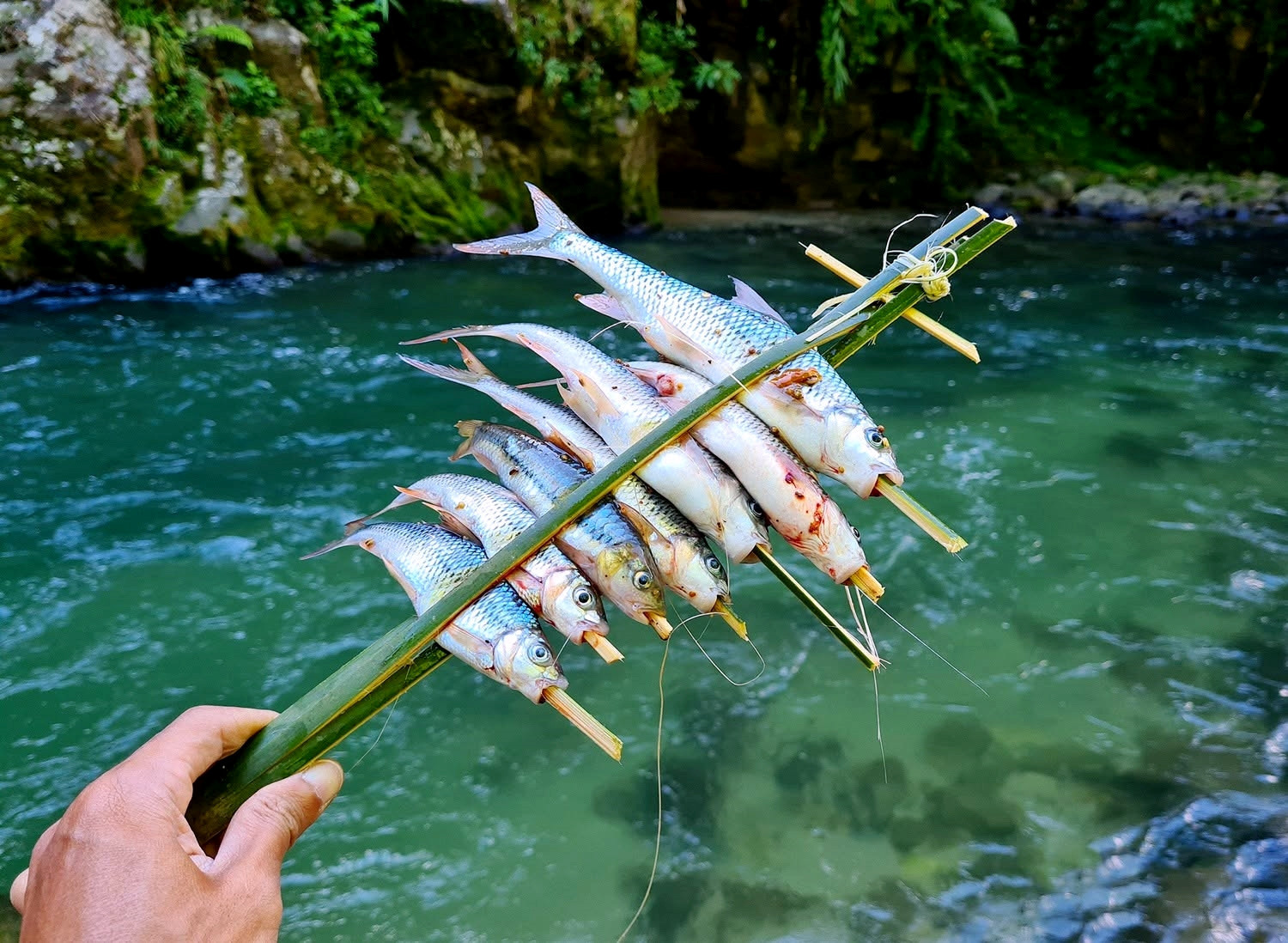 a3Bí thư bản vùng cao.jpg