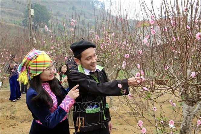 Ministry proposes seven-day 2027 Lunar New Year holiday